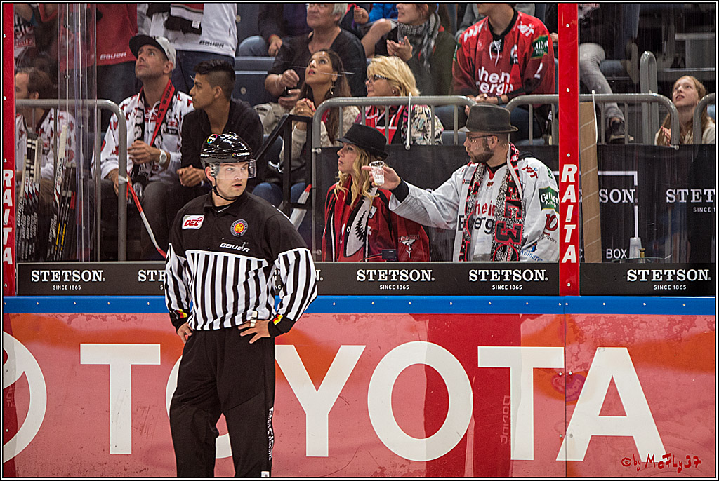 Koelner Haie - EHC Red Bull Muenchen , 16.09.16(KW37)